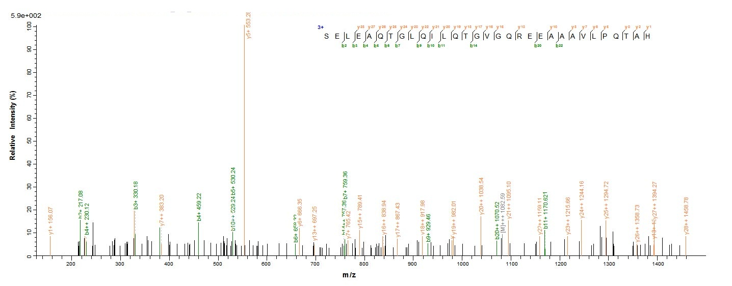 Human PTPRN protein