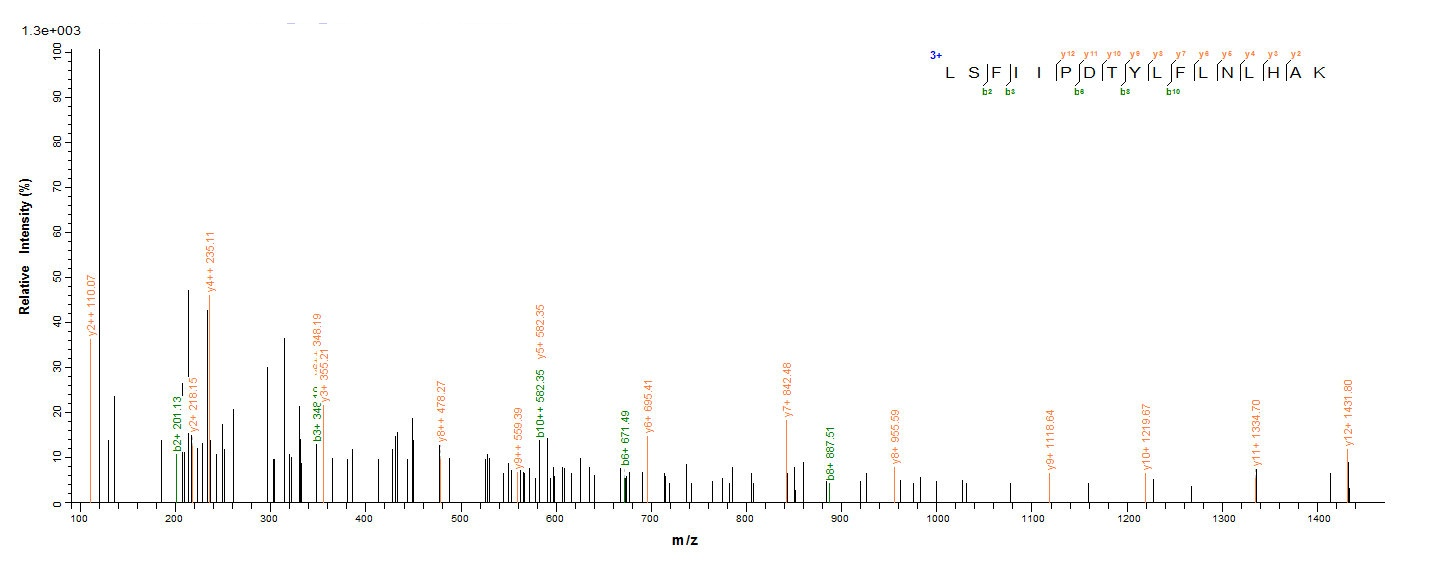 Bacterial GV51_0914 protein