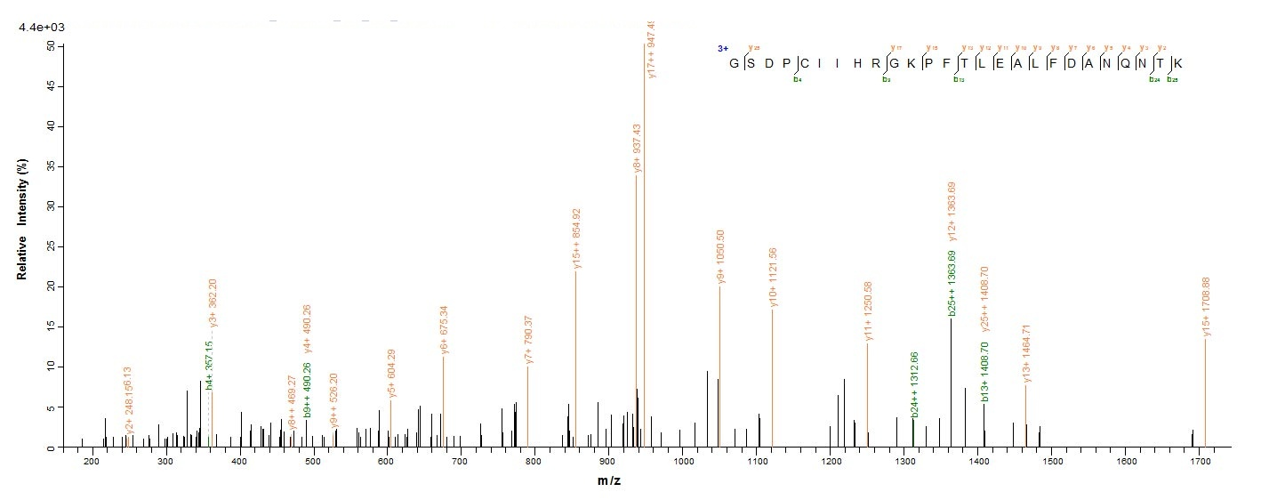 Insect DERF2 protein