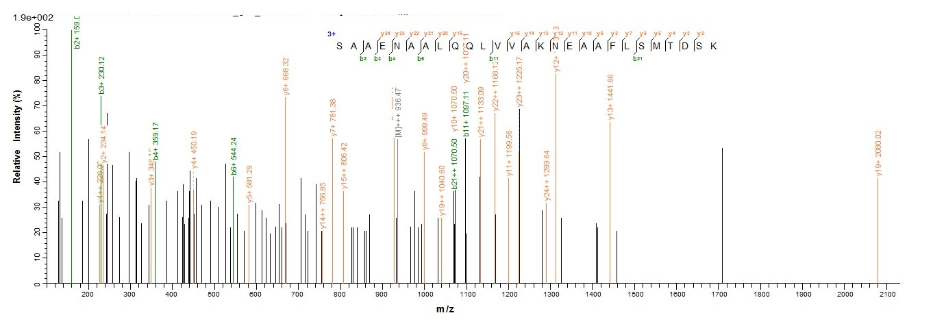 Human SFTPD protein