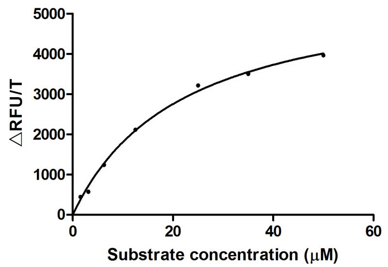 Human TMPRSS2 protein