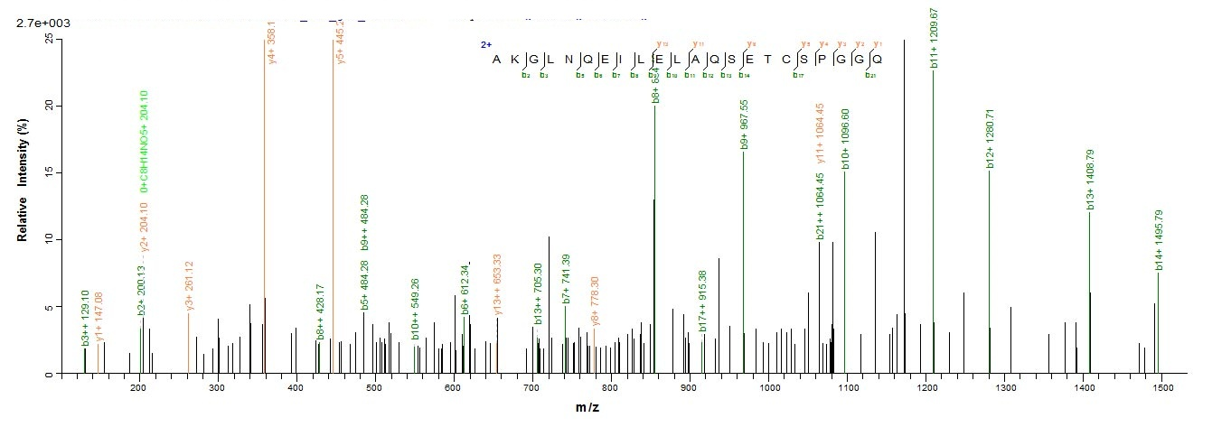 Dog Major allergen Can f 1 protein