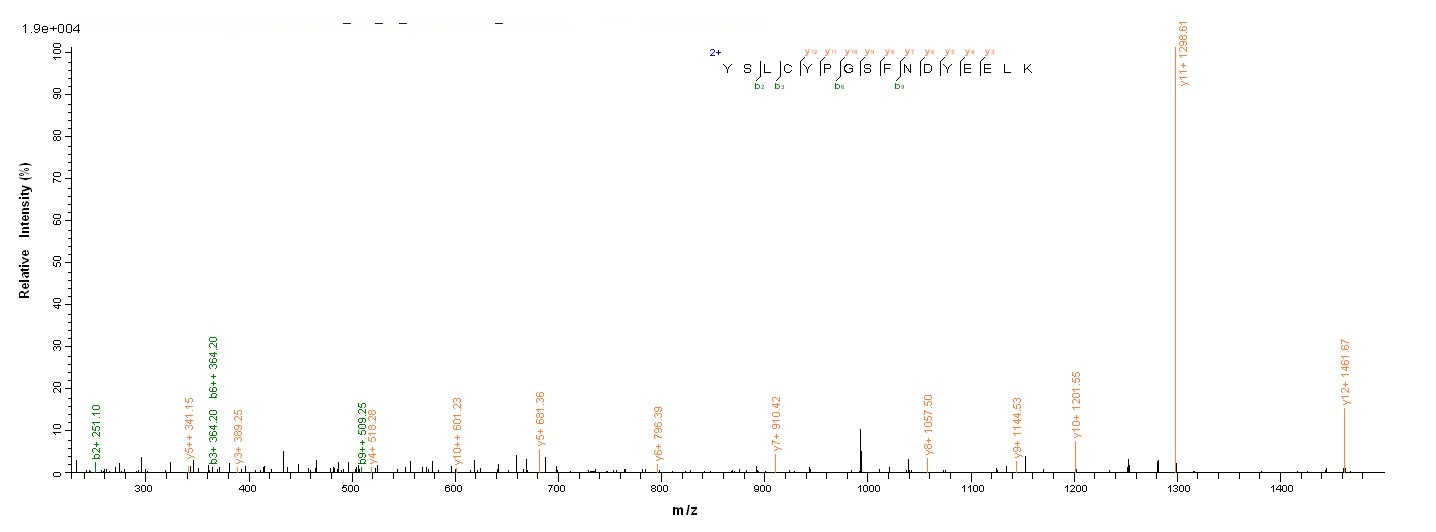 Viral HA protein