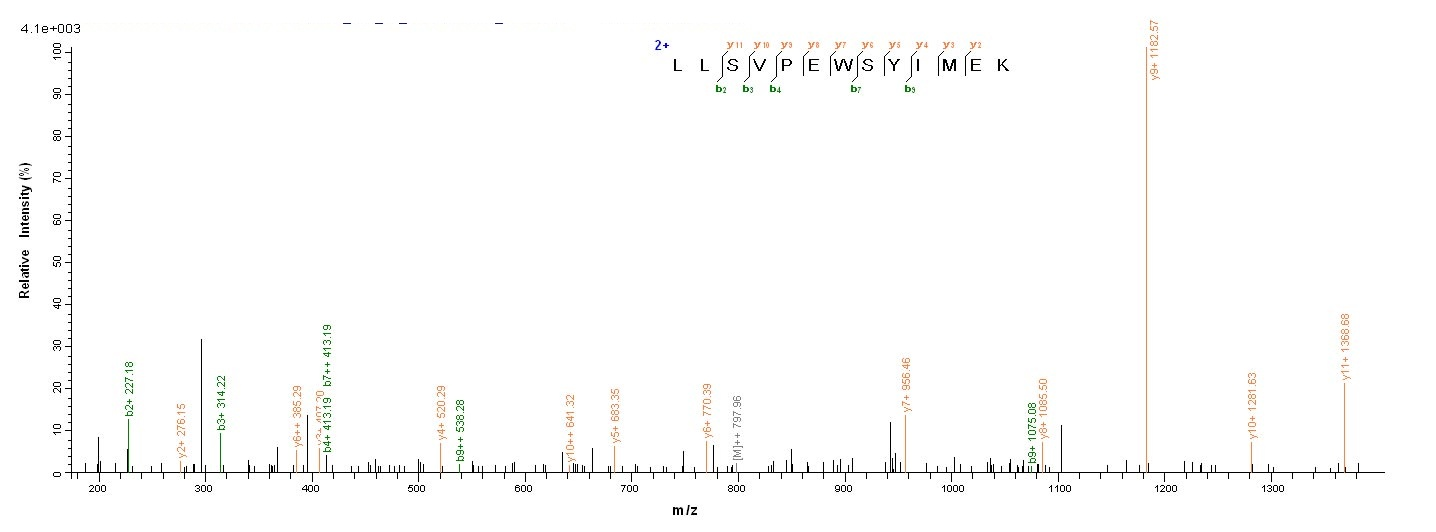 Viral HA protein