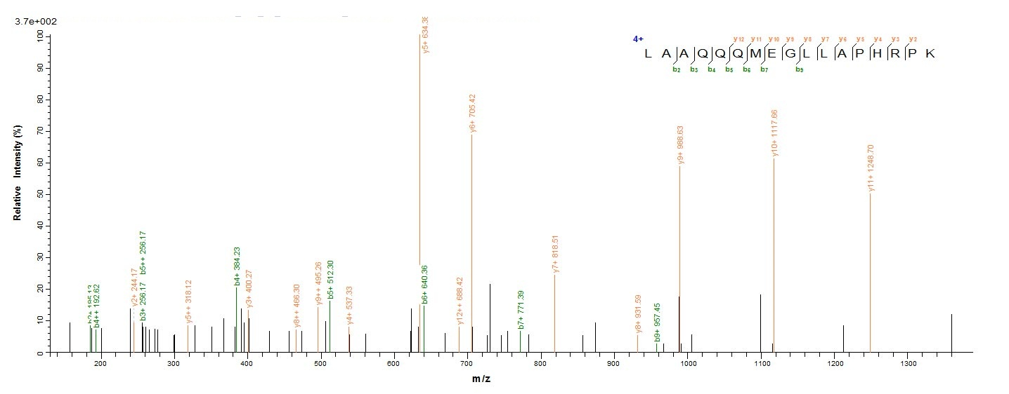 Bacterial pac protein