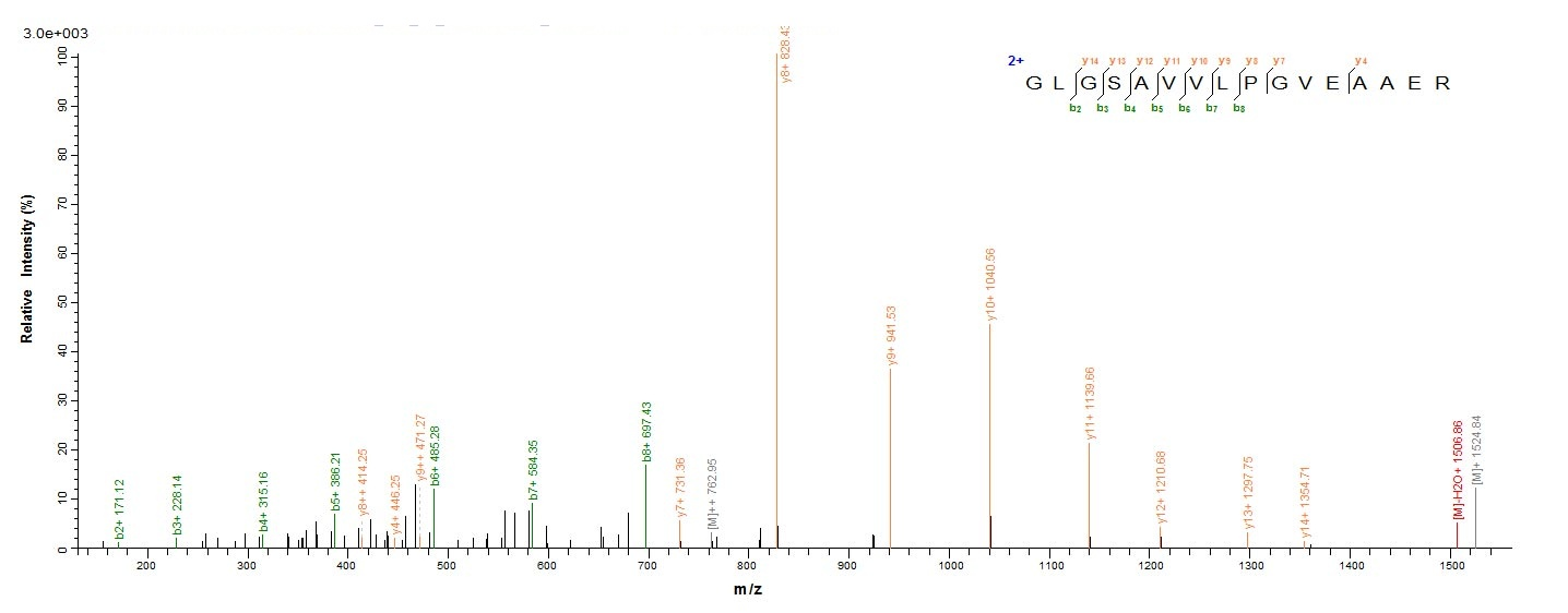 Bacterial pac protein