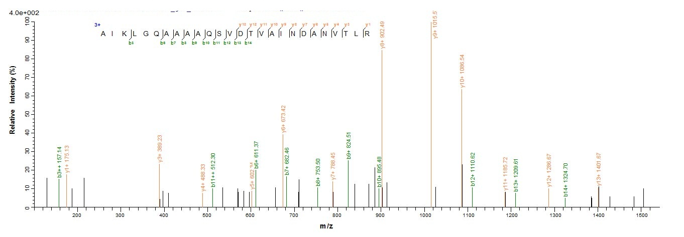E. coli F17a-A protein
