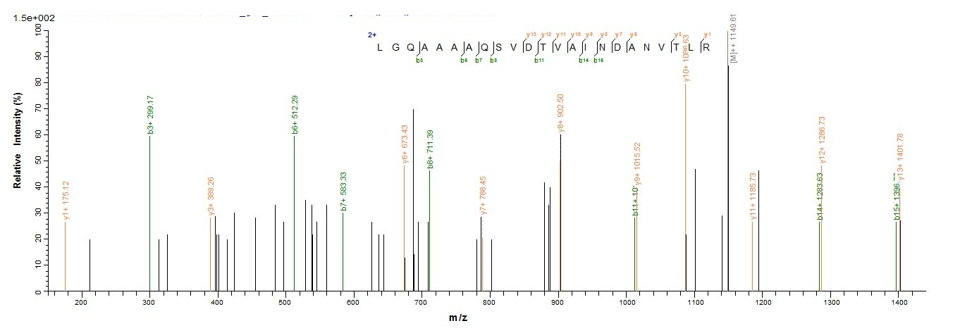 E. coli F17a-A protein