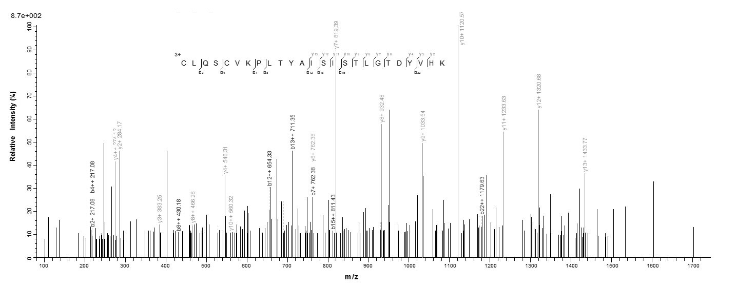Human GLS2 protein