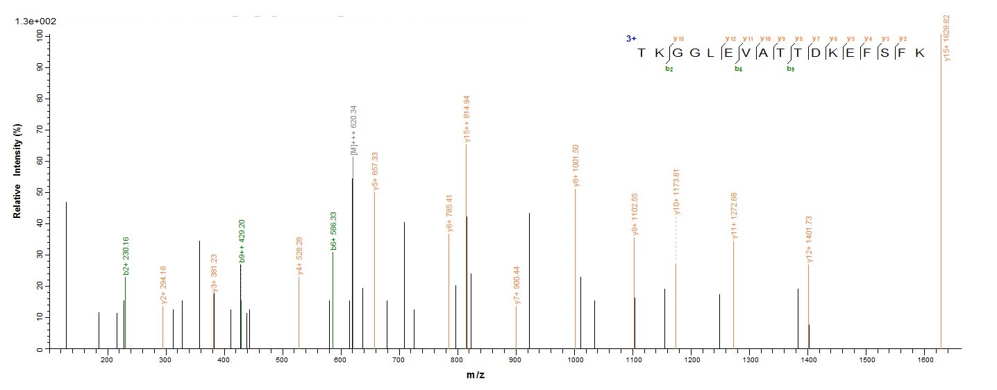 Bacterial oprP protein