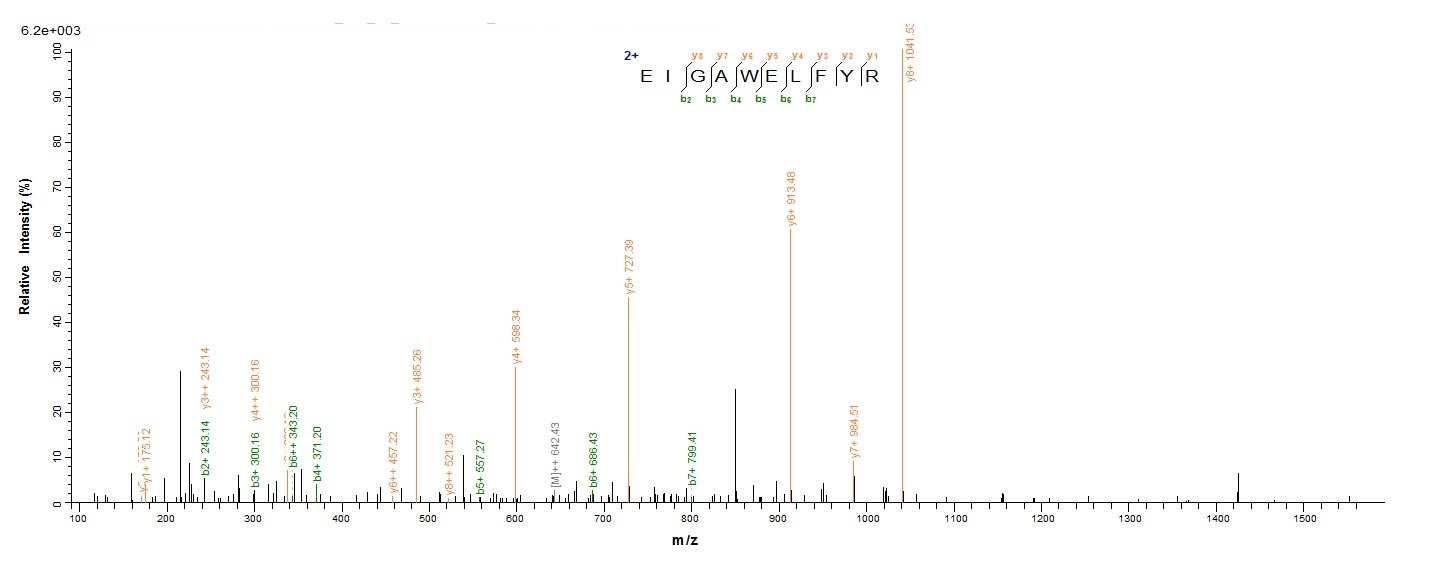 Bacterial oprP protein