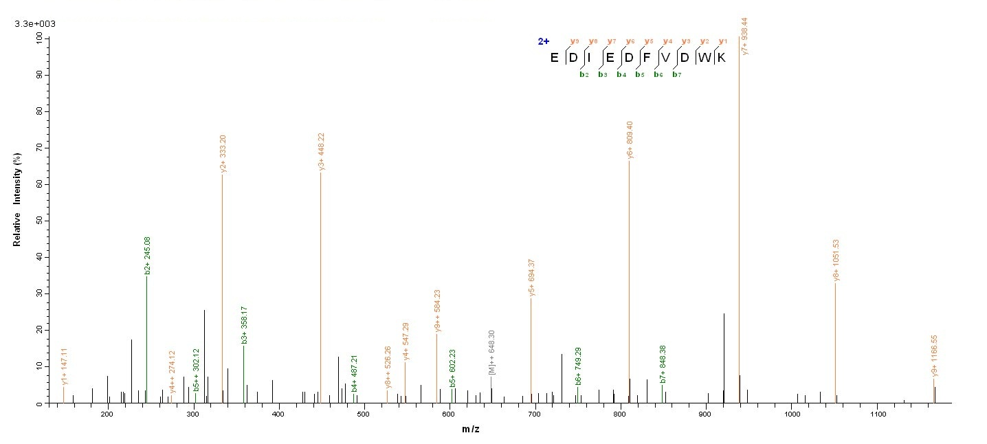 Bacterial rgpB protein