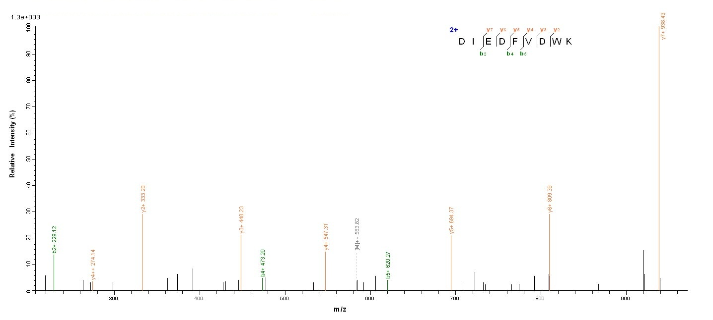 Bacterial rgpB protein