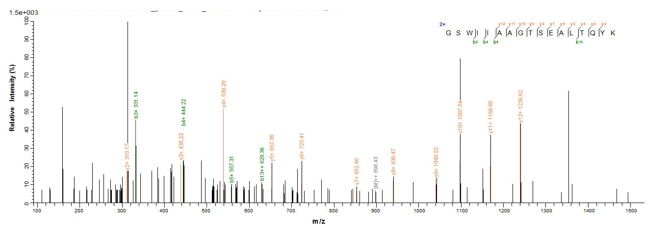 Insect rBla g 4 protein