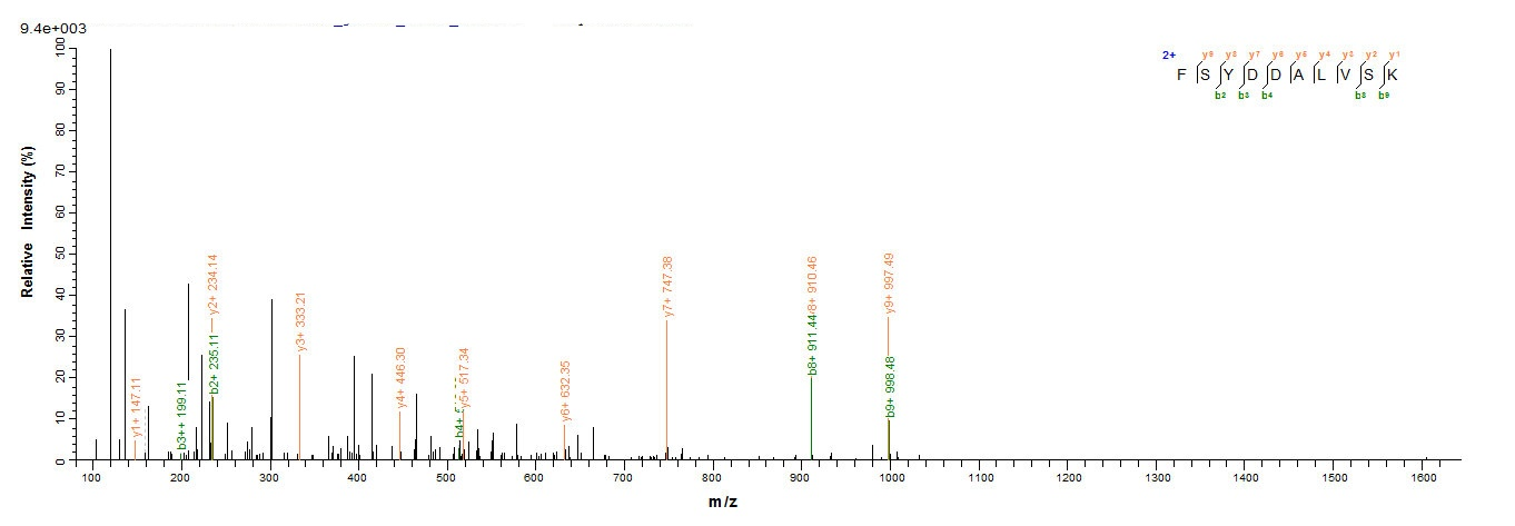 Insect rBla g 4 protein