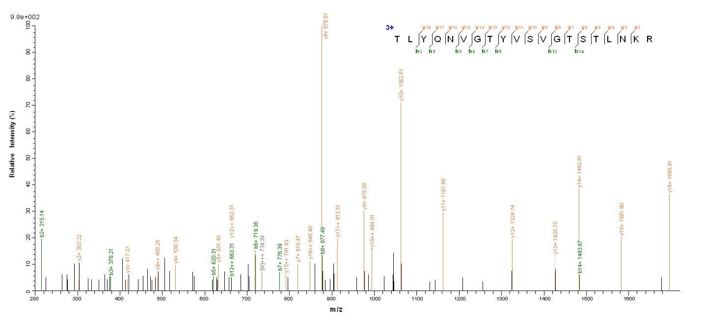 Viral HA protein