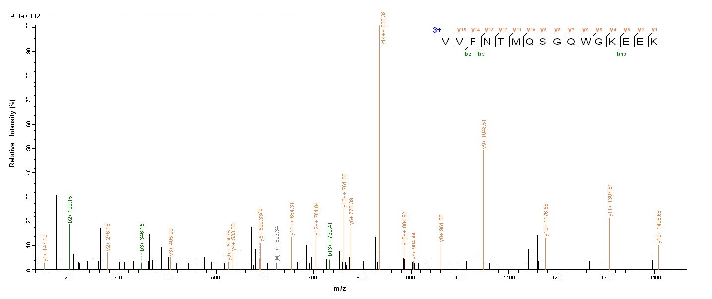 Rat Lgals4 protein