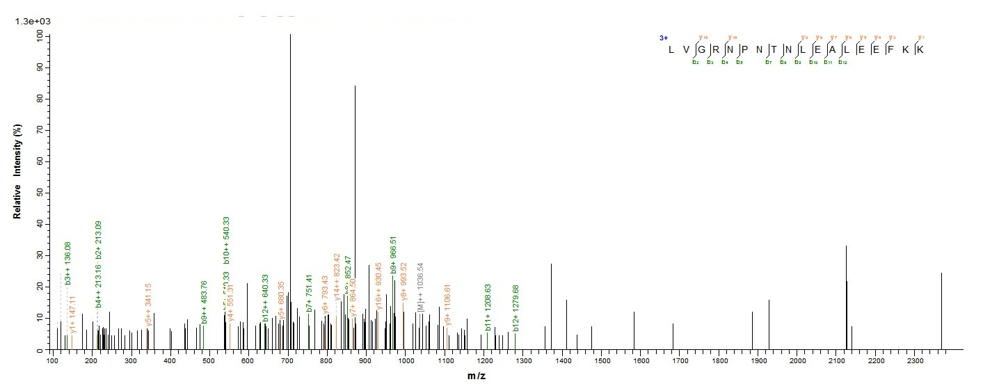 Human OBP2A protein