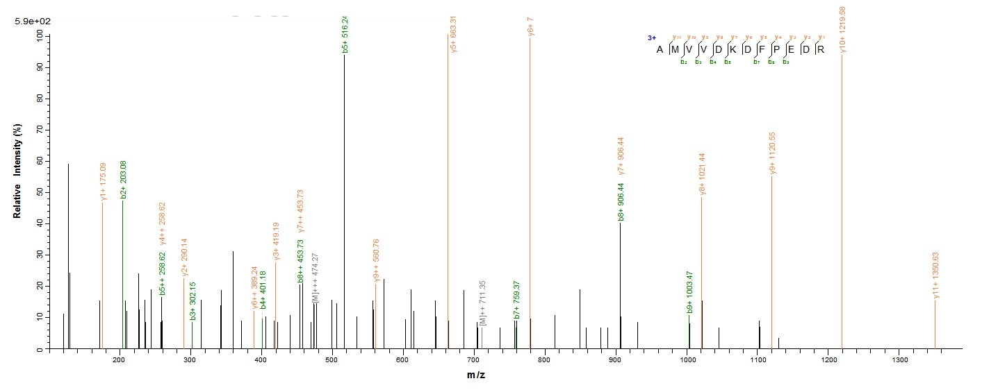 Human OBP2A protein