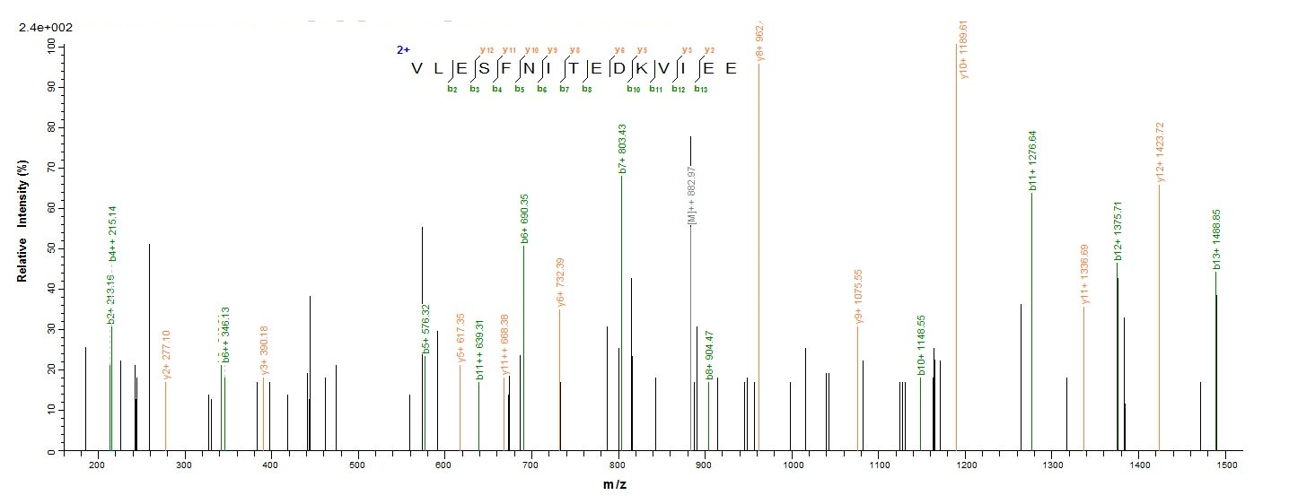 Bacterial clpC protein
