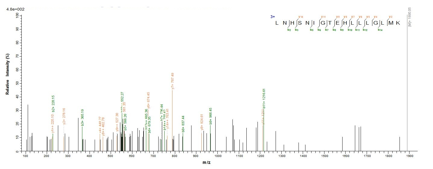 Bacterial clpC protein