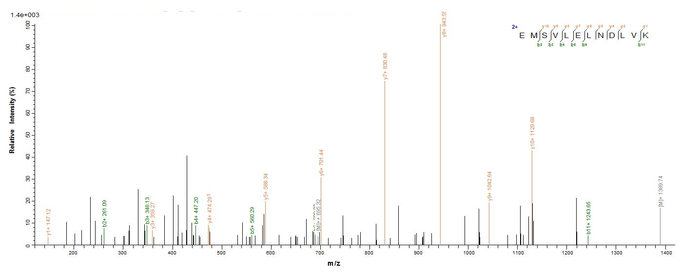 Bacterial rplL protein