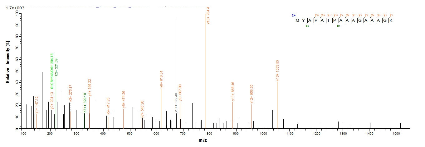 Rat Allergen Phl p Vb protein