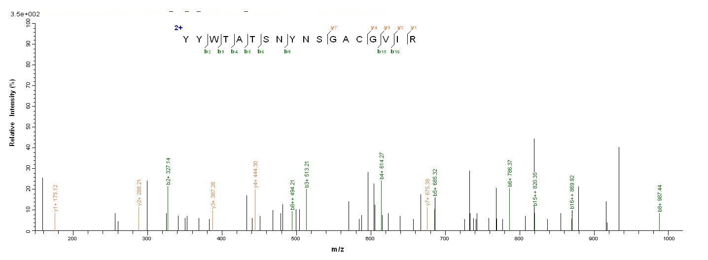 Bacterial lasB protein