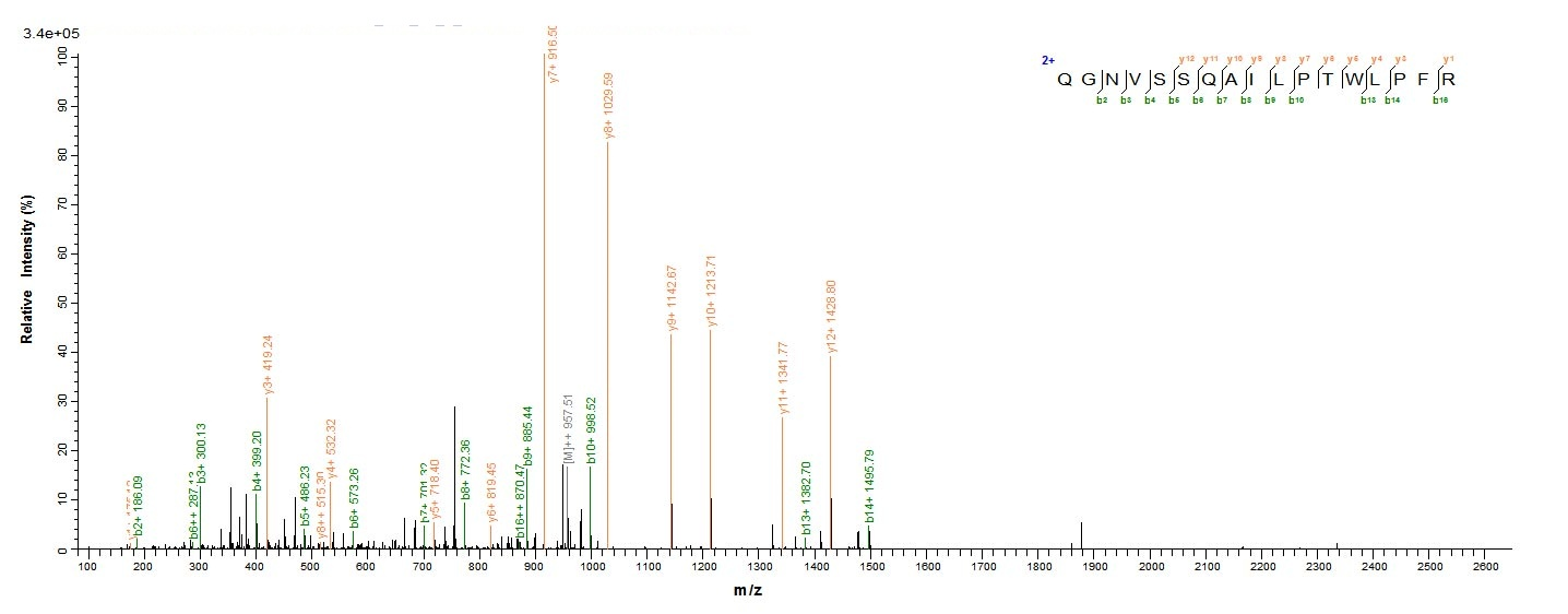 Human ZP3 protein