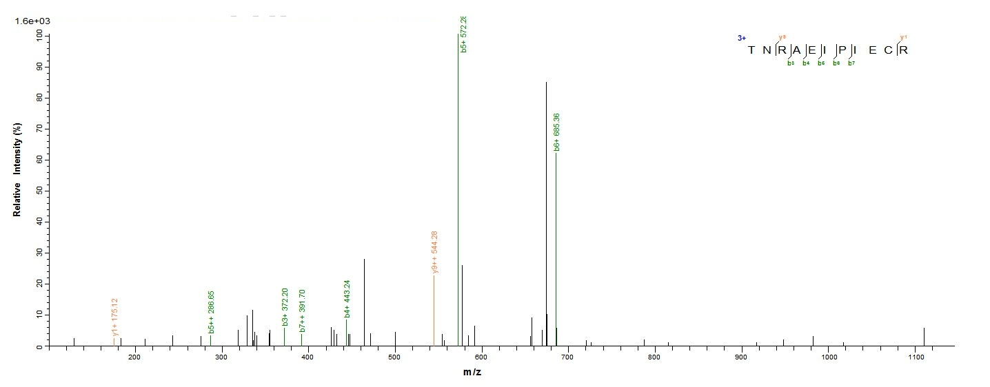 Human ZP3 protein