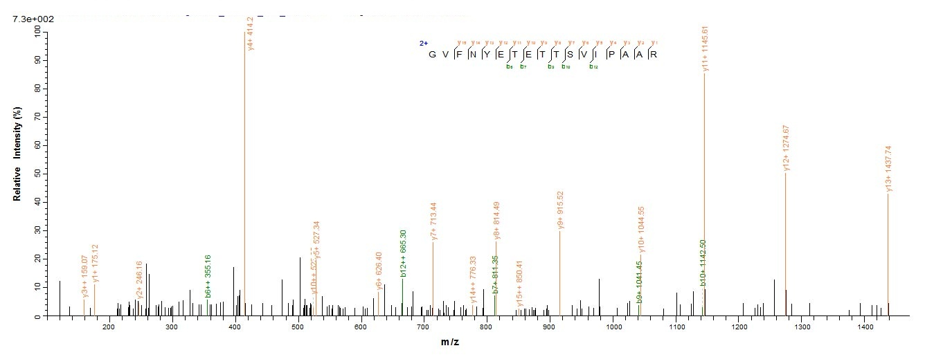 Plant BETVIA protein