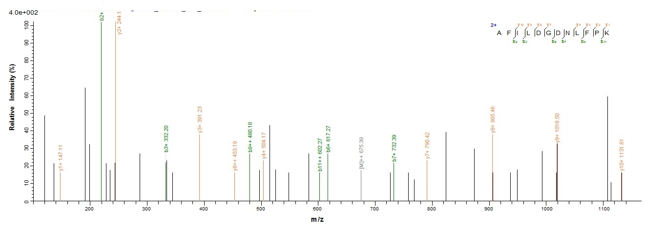Plant BETVIA protein
