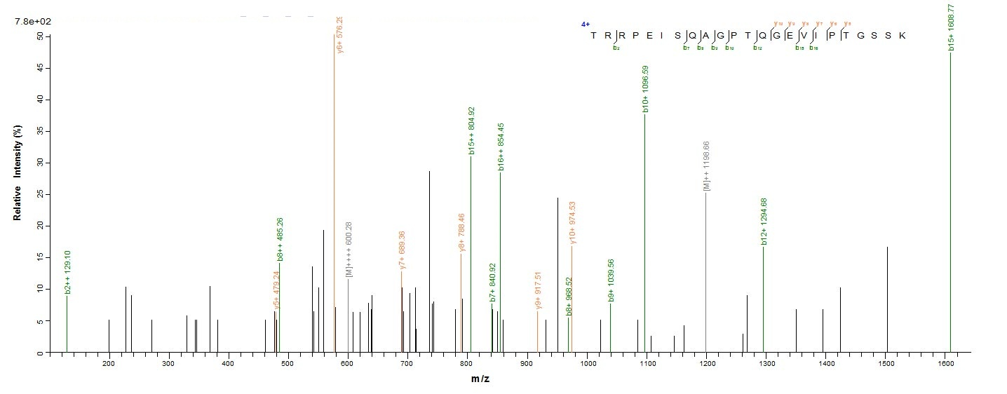 Human MADCAM1 protein