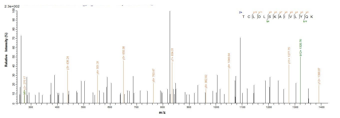 Human ICA1 protein