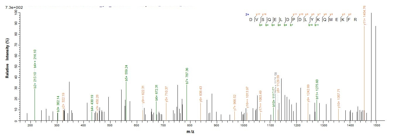 Human ICA1 protein