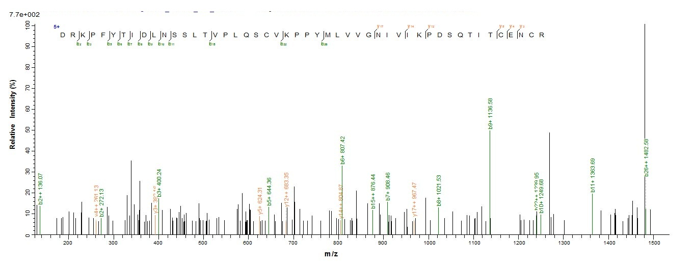 Human ERVK-6 protein