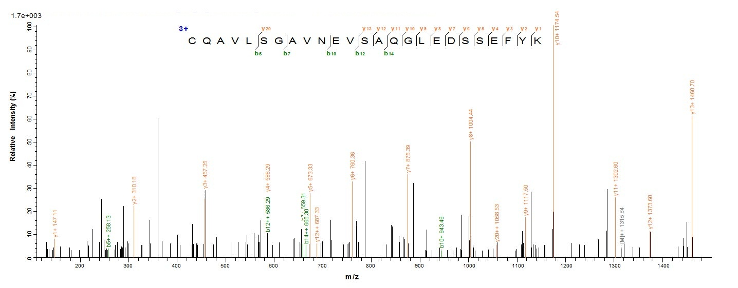 Fungi PPX1 protein
