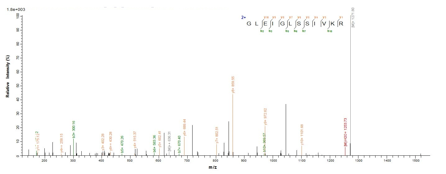 Fungi PPX1 protein