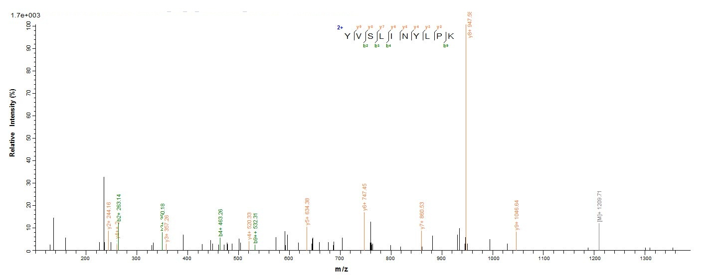 Bacterial hlgC protein