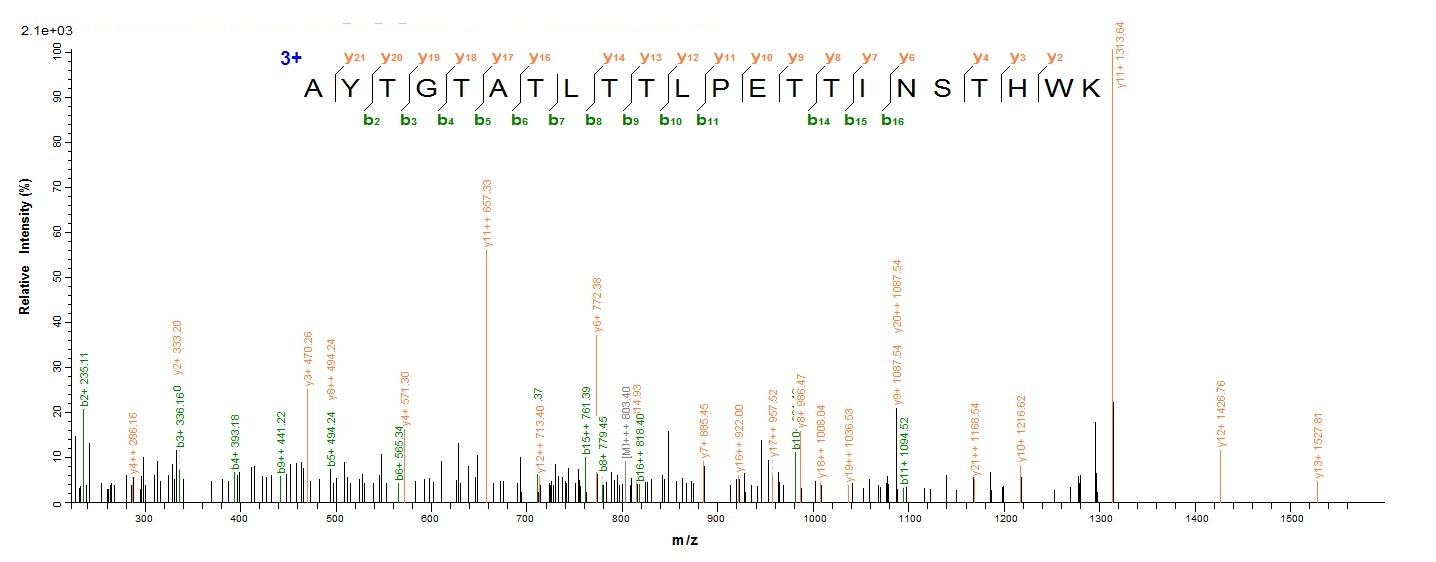 Fungi CDH-1 protein