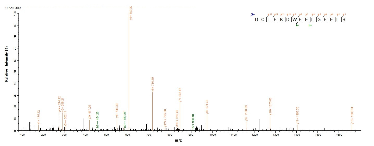 Viral HBV-D protein