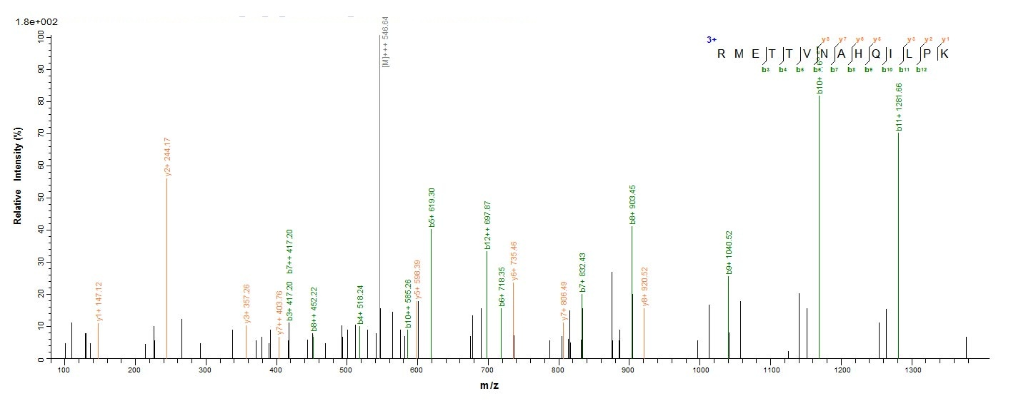 Viral HBV-D protein
