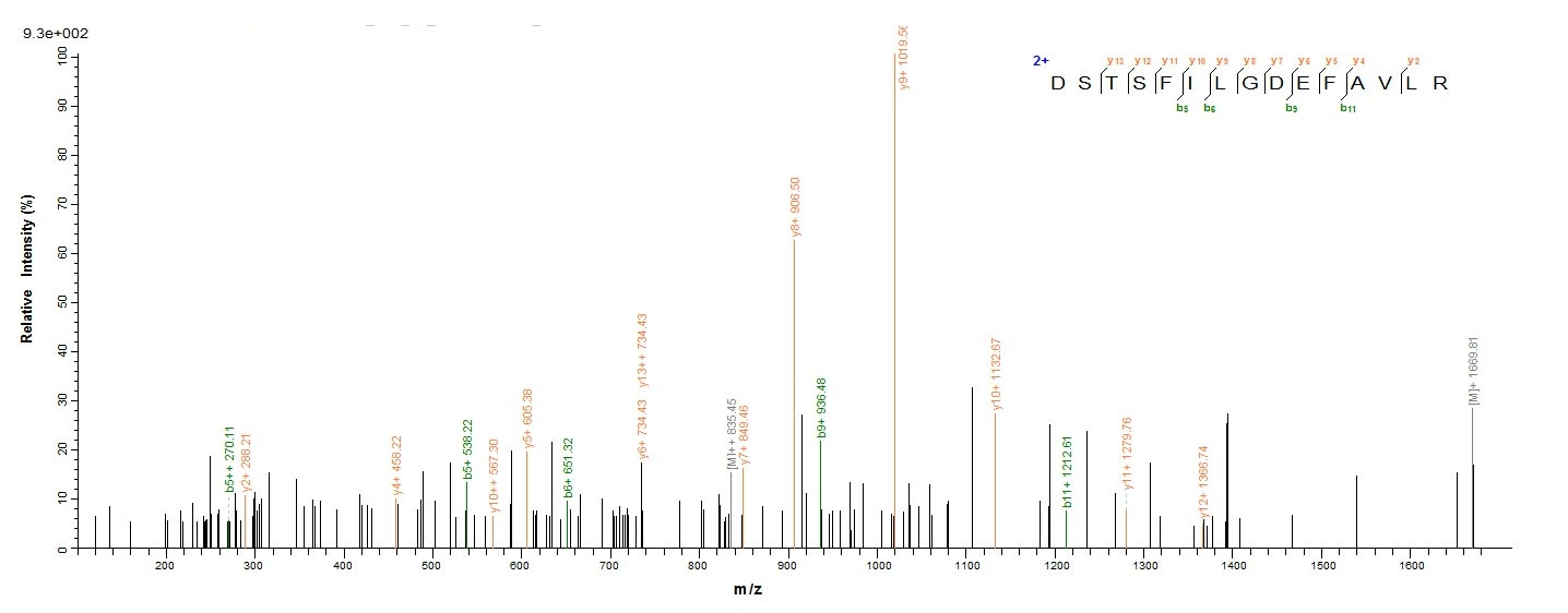 Bacterial btfP protein