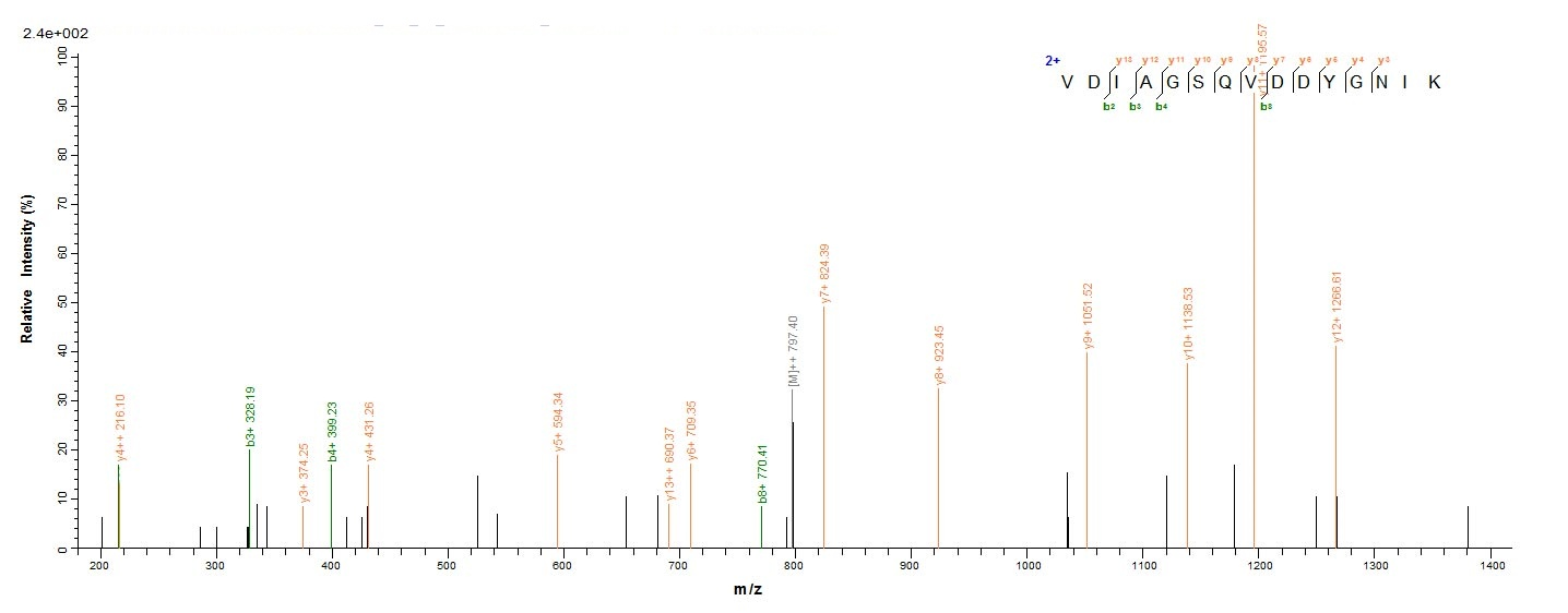 Bacterial sdrE protein