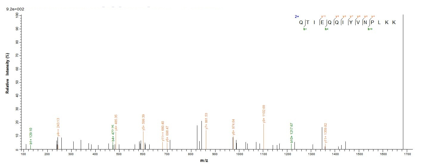 Bacterial sdrE protein