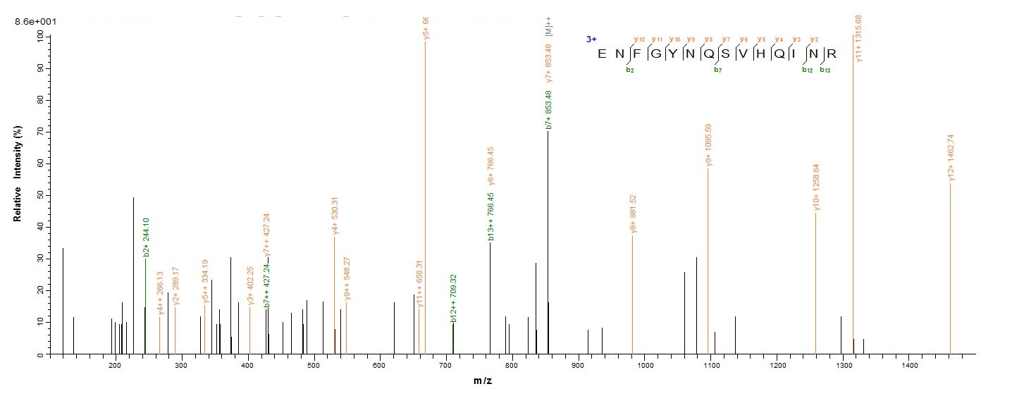 Bacterial speB protein