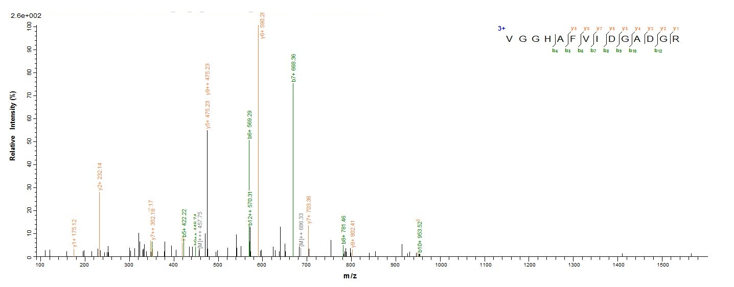 Bacterial speB protein