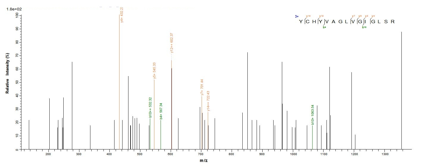 Human FDFT1 protein