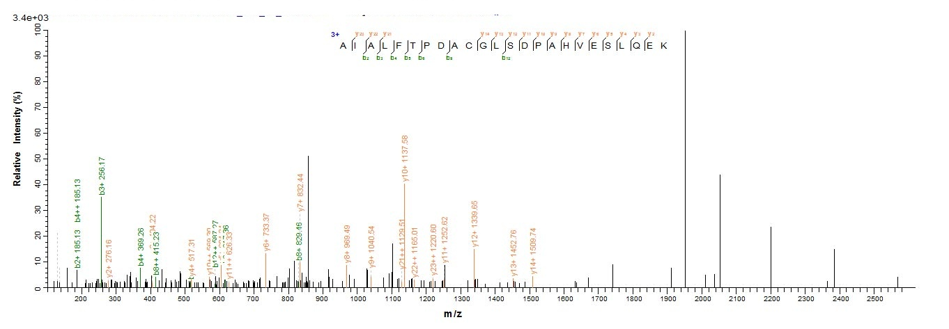 Human NR2F6 protein