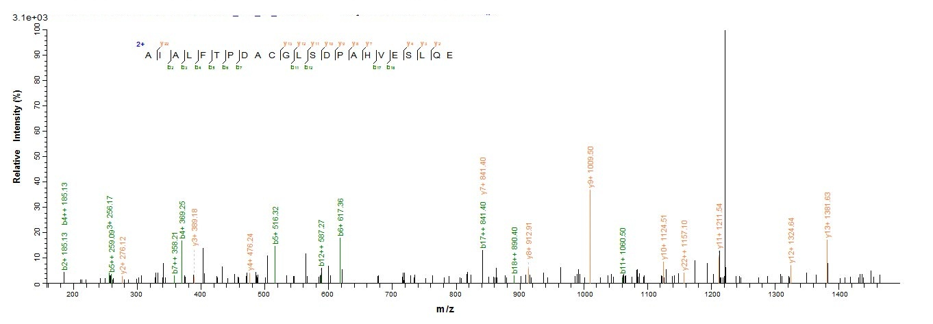 Human NR2F6 protein